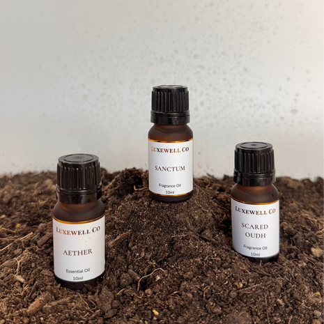 Storm Glass Diffuser with Gaia's Chosen Essential & Fragrance Oils