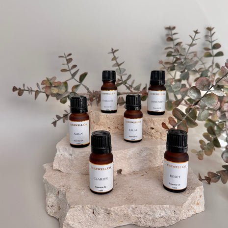 The Vital Six with Diffuser Stones for Car & Wardrobe